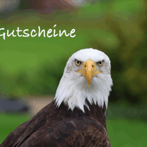 Gutschein