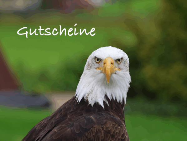 Gutschein
